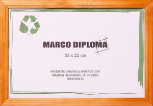 Marco Diploma 1004
